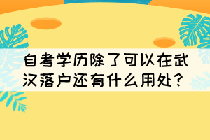 自考学历除了可以在武汉落户还有什么用处？