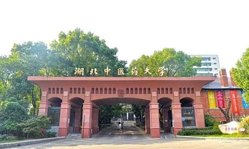 湖北中医药大学招收成人高考的本科生吗