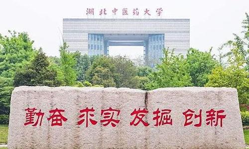 2024年湖北中医药大学成人高考专升本入学后学习方式